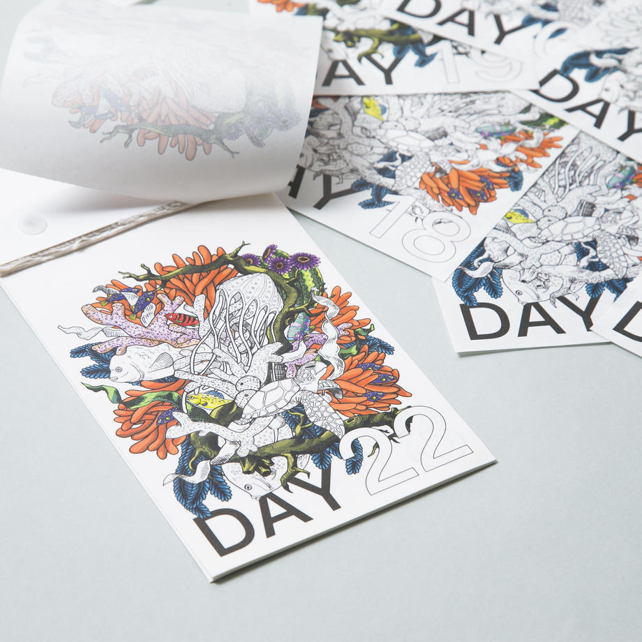PLYDAY Calendar