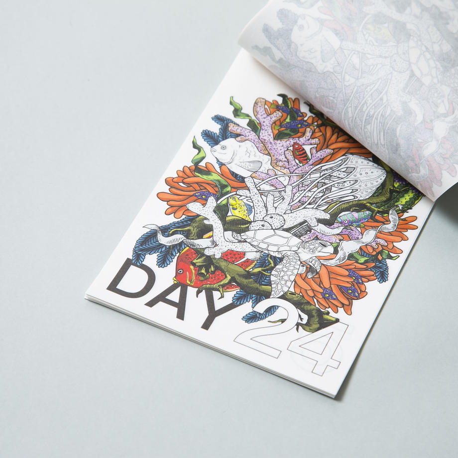 PLYDAY Calendar