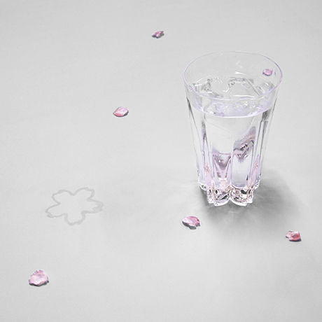 SAKURASAKU Tumbler Glass Set