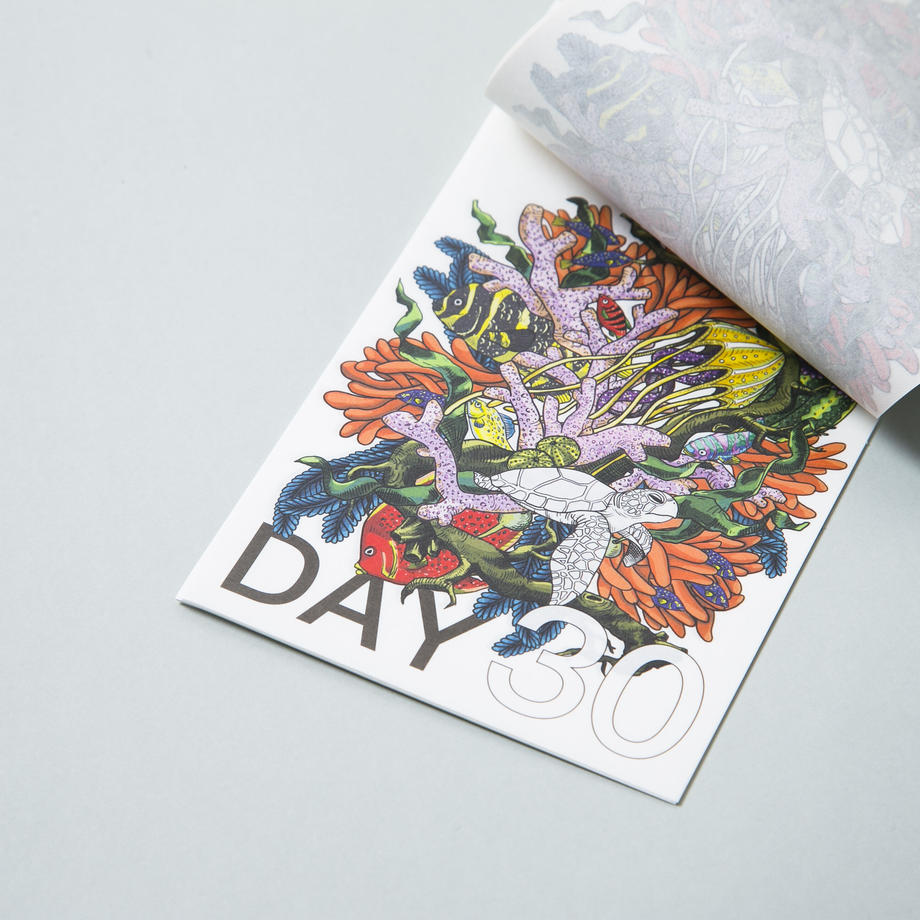 PLYDAY Calendar