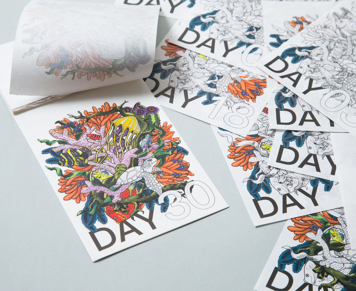 PLYDAY Calendar